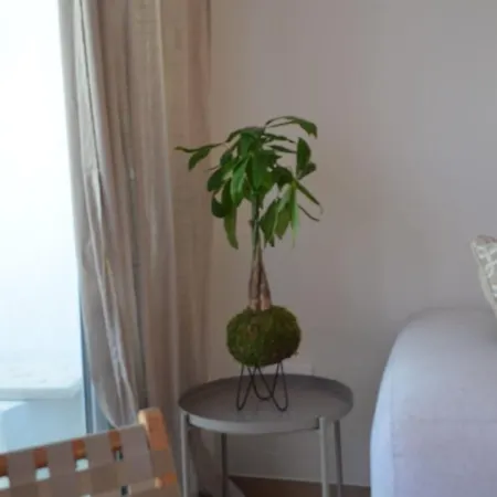 New Luxe House * Benalmadena